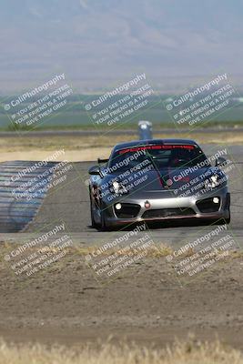 media/May-03-2024-PCA Central Coast (Fri) [[eaa7da0ee1]]/Yellow Group/Session 1 (Grapevine)/